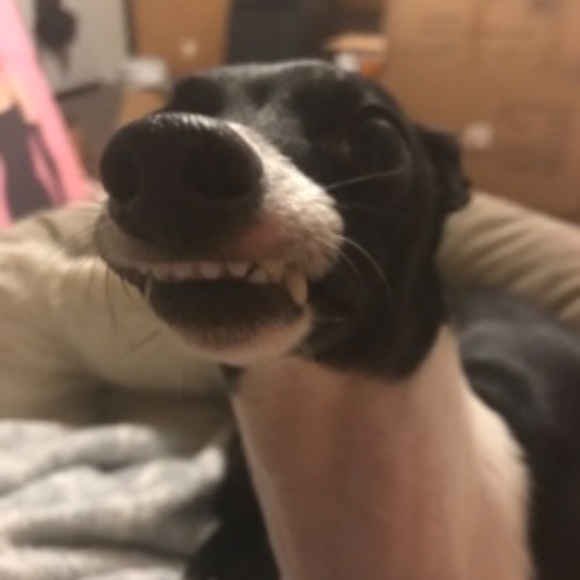 Hey, I’m Lindsay! - Picture 4 of 7